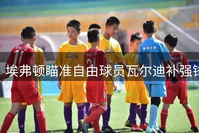 埃弗顿瞄准自由球员瓦尔迪补强锋线